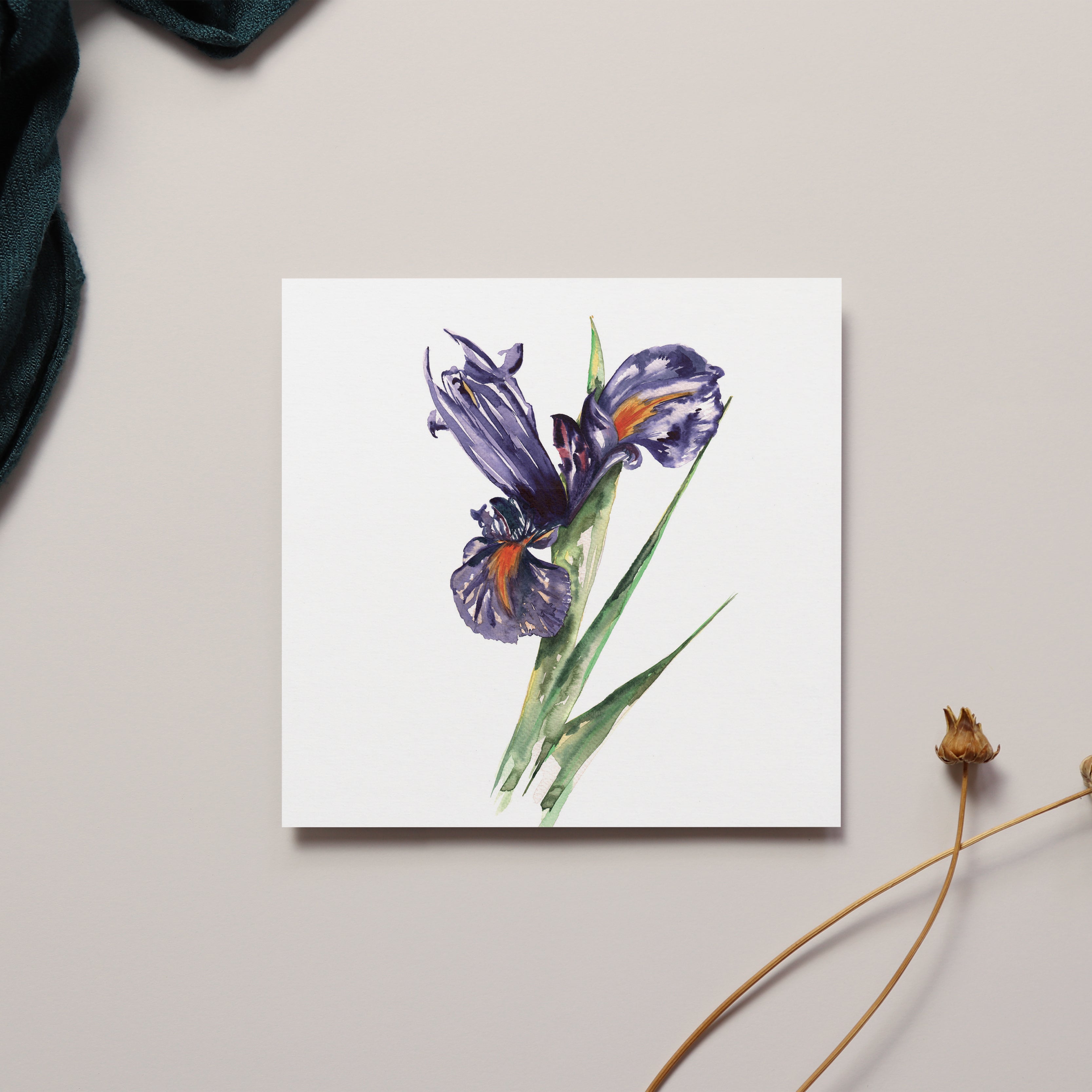 Iris Greeting Card