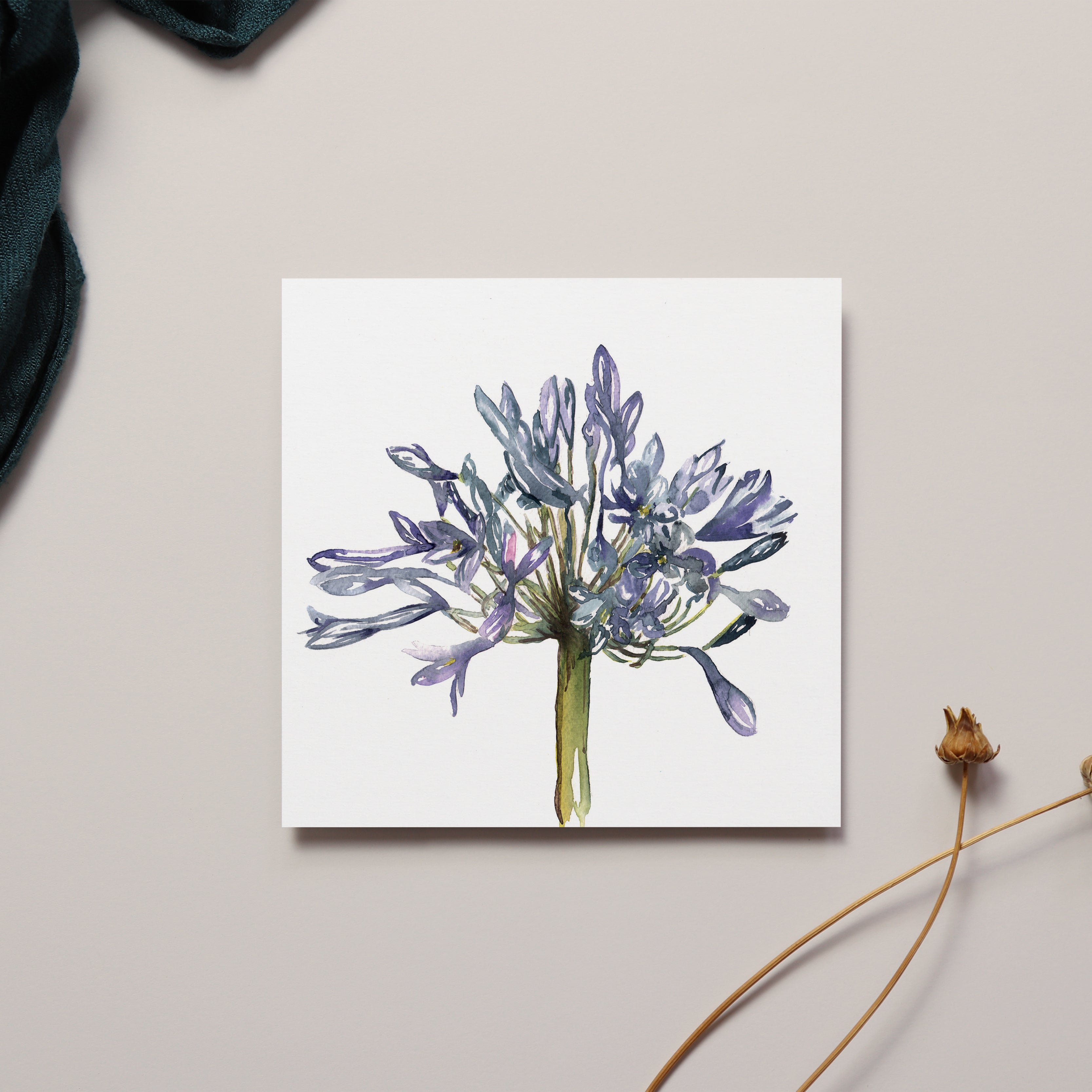 Agapanthus Watercolour Design Greeting Card