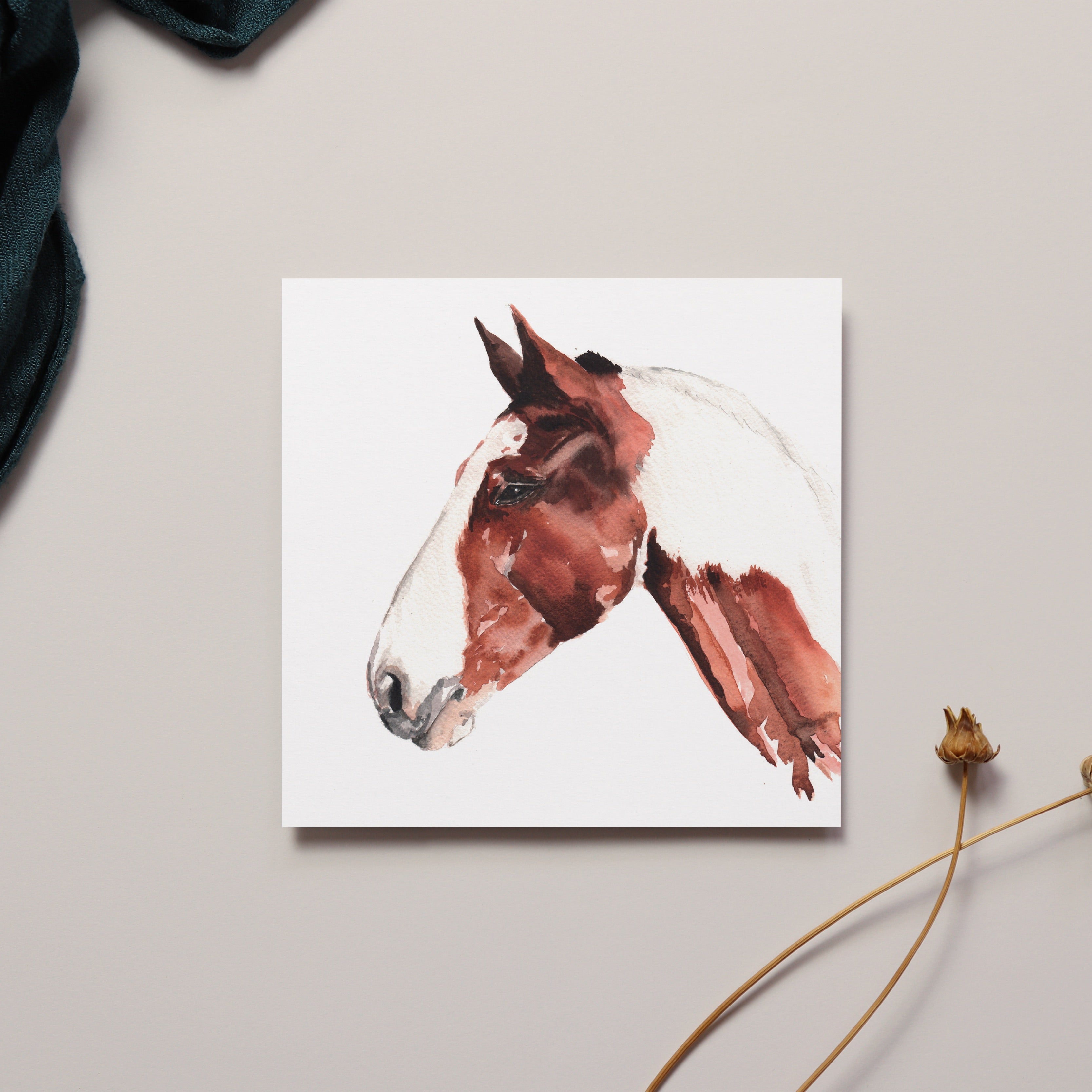 Horse Greeting Card