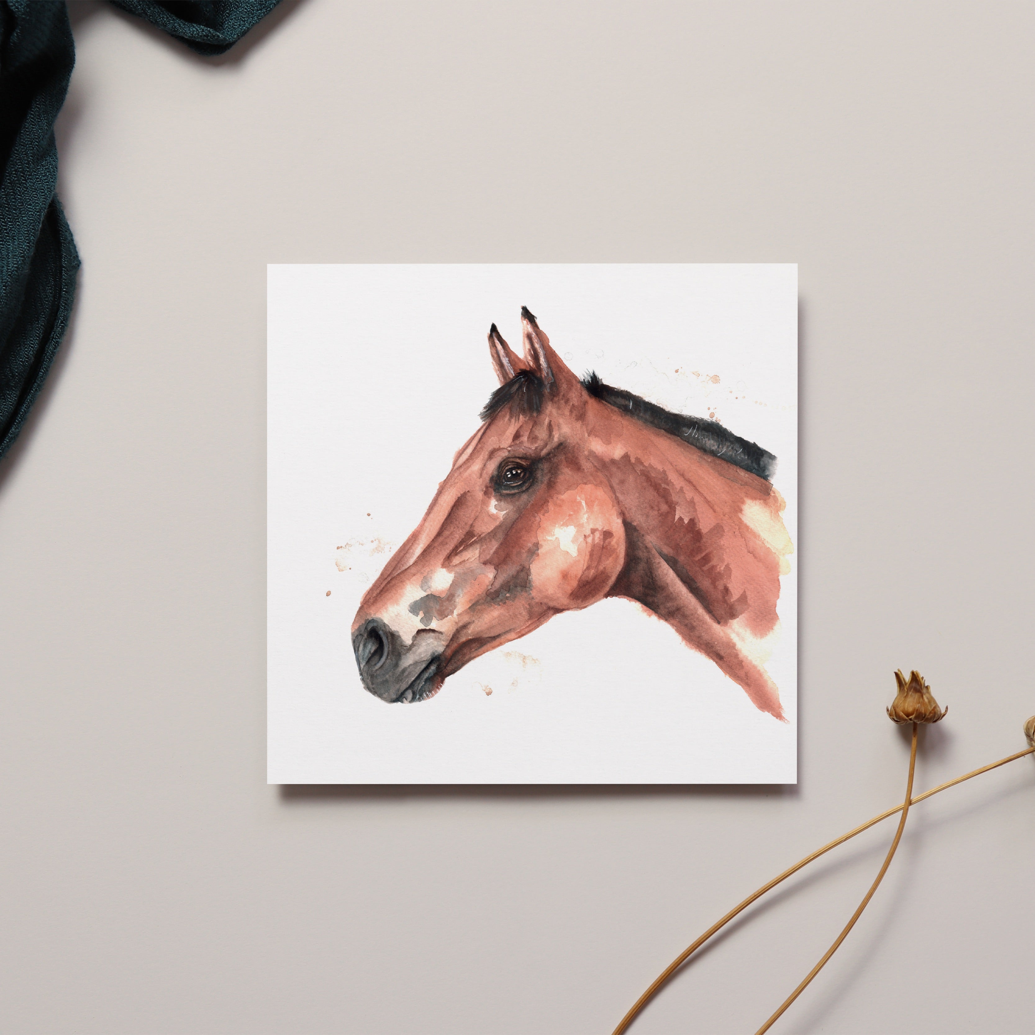 Horse Greeting Card