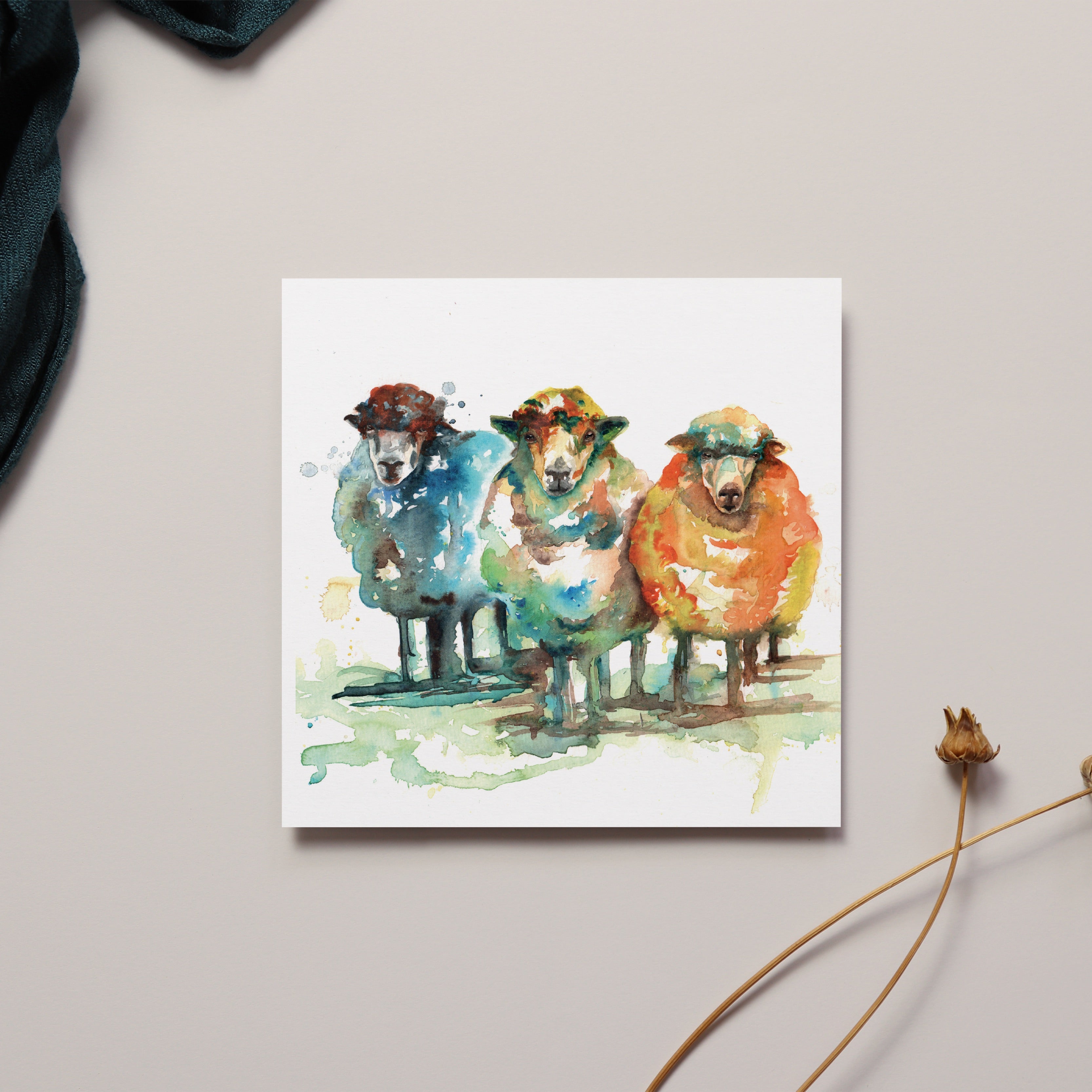 Sheep Greeting Card