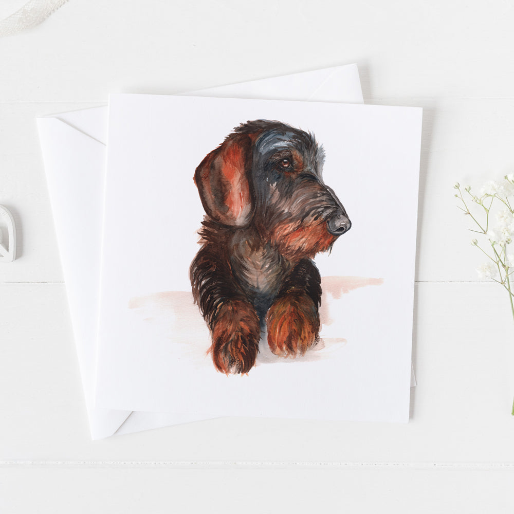 Wired haired dachshund Greeting Card