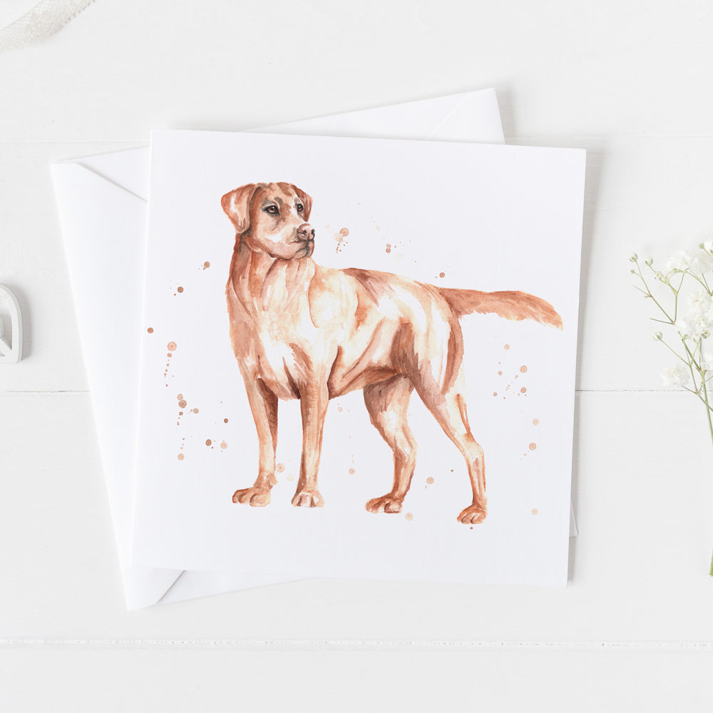 Blond Labrador Card
