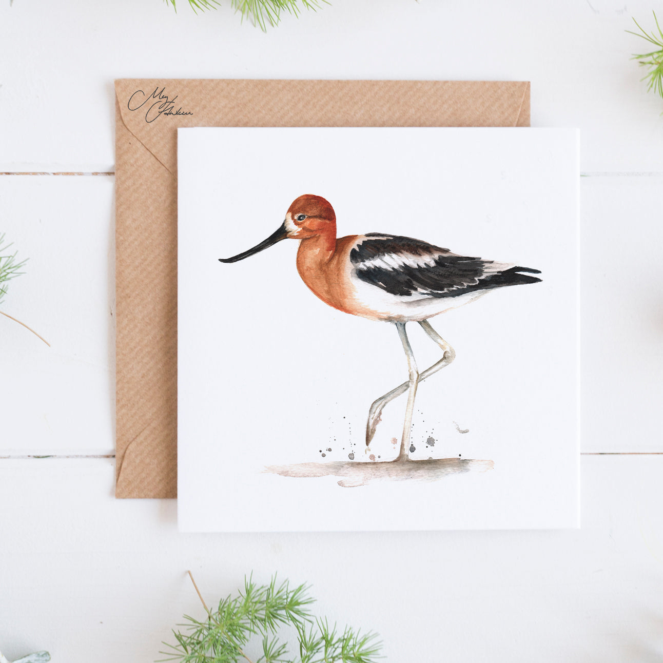 American Avocet Greeting Card