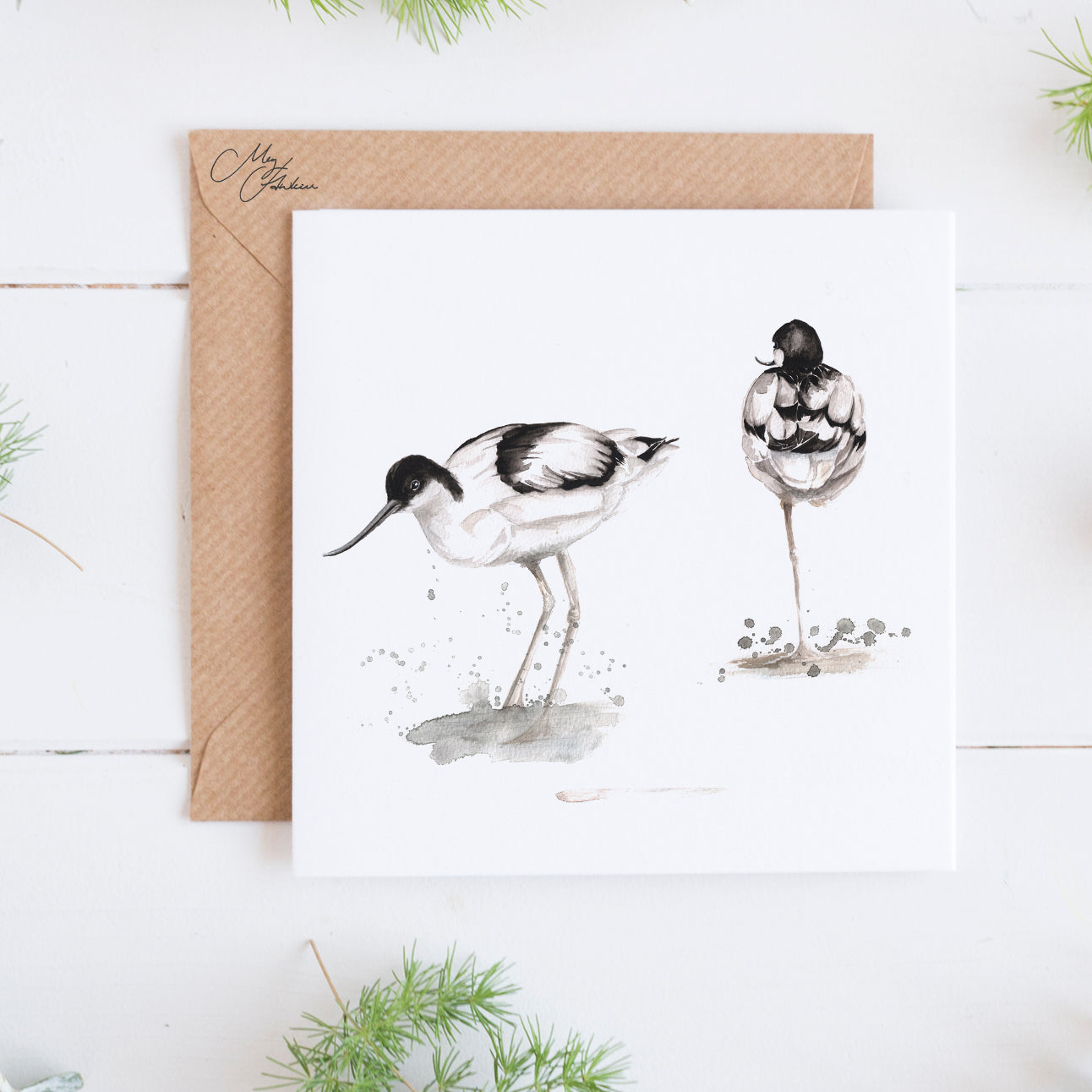 British Avocet Greeting Card