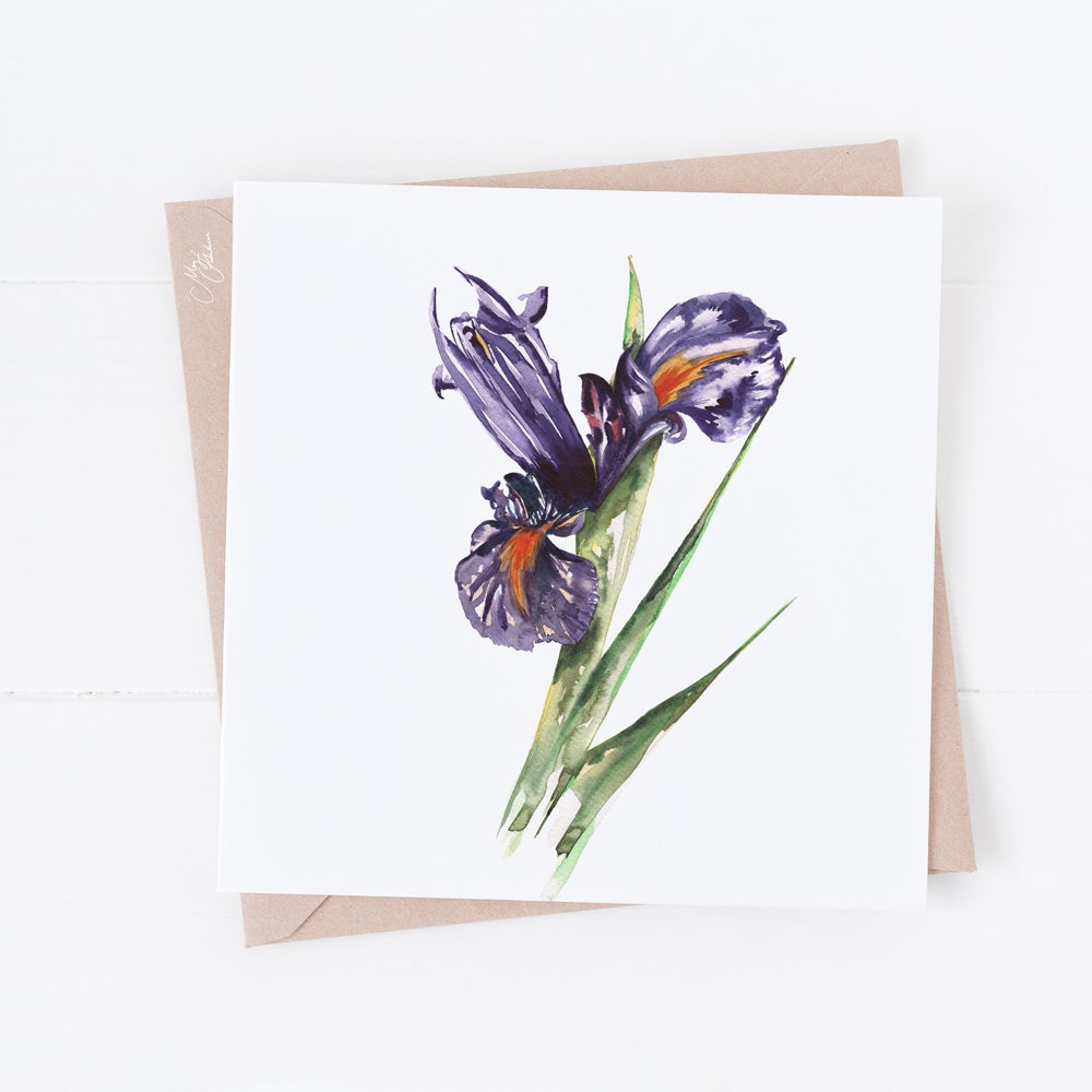 Iris Flower Greeting Card By Meg Hawkins,