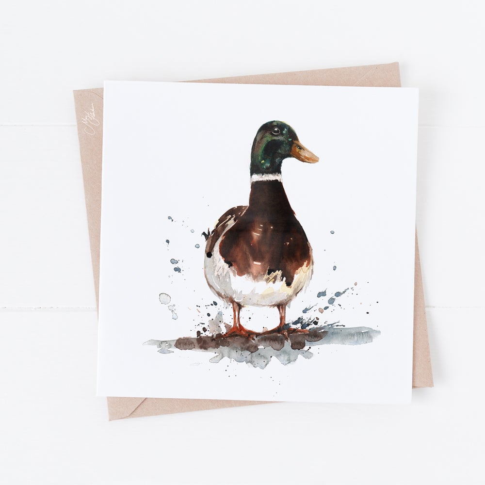 Mallard Greeting Card By Meg Hawkins