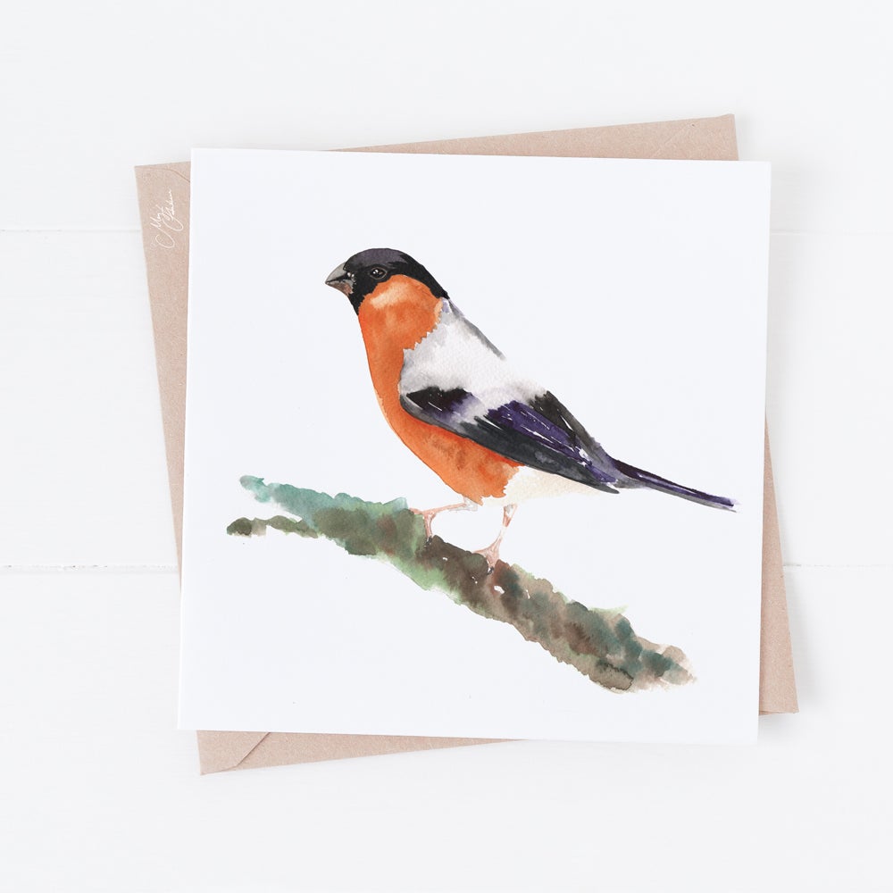 British Birds ,Bull Finch Greeting Cards By Meg Hawkins