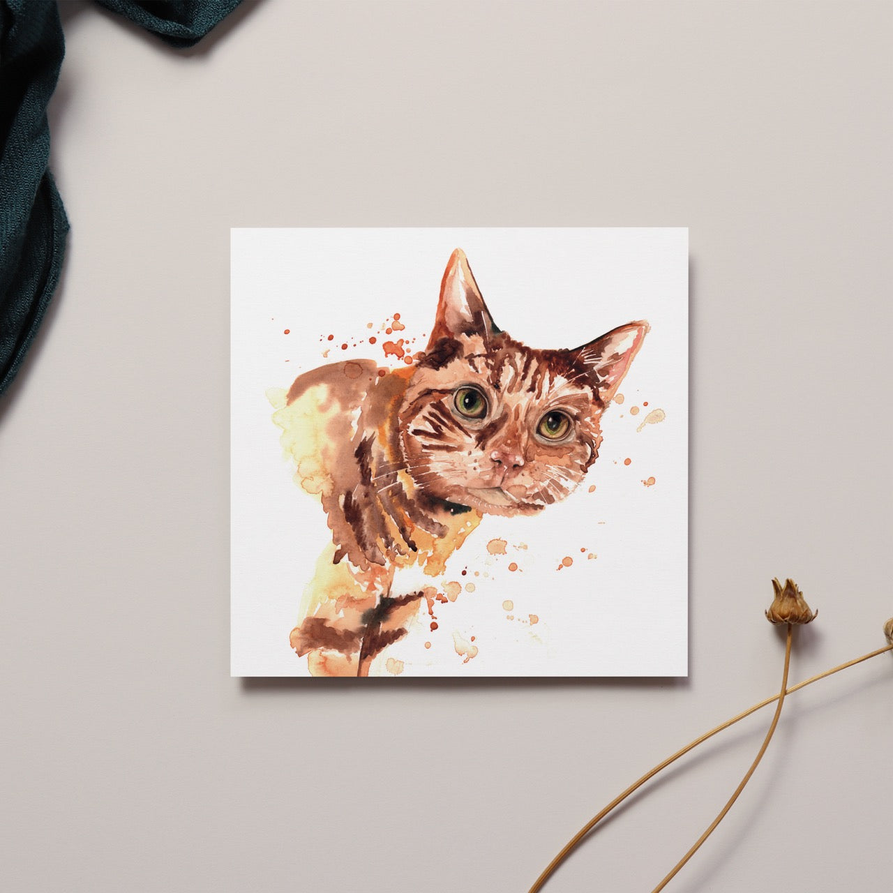 Cats