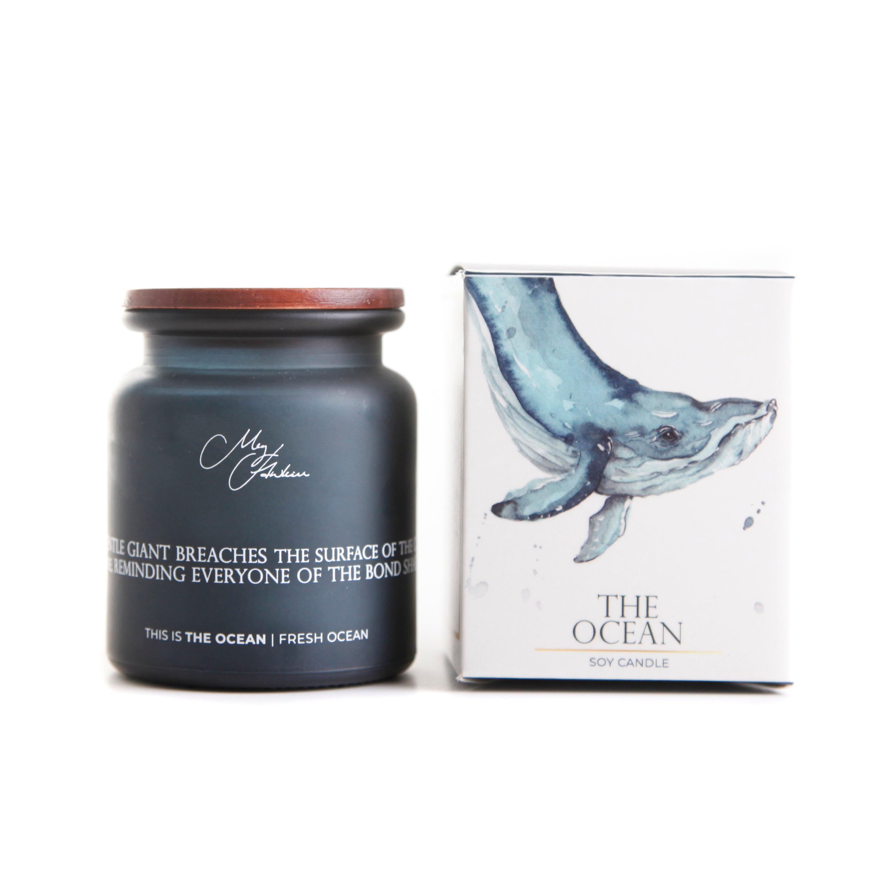 The Ocean | Whale Collection