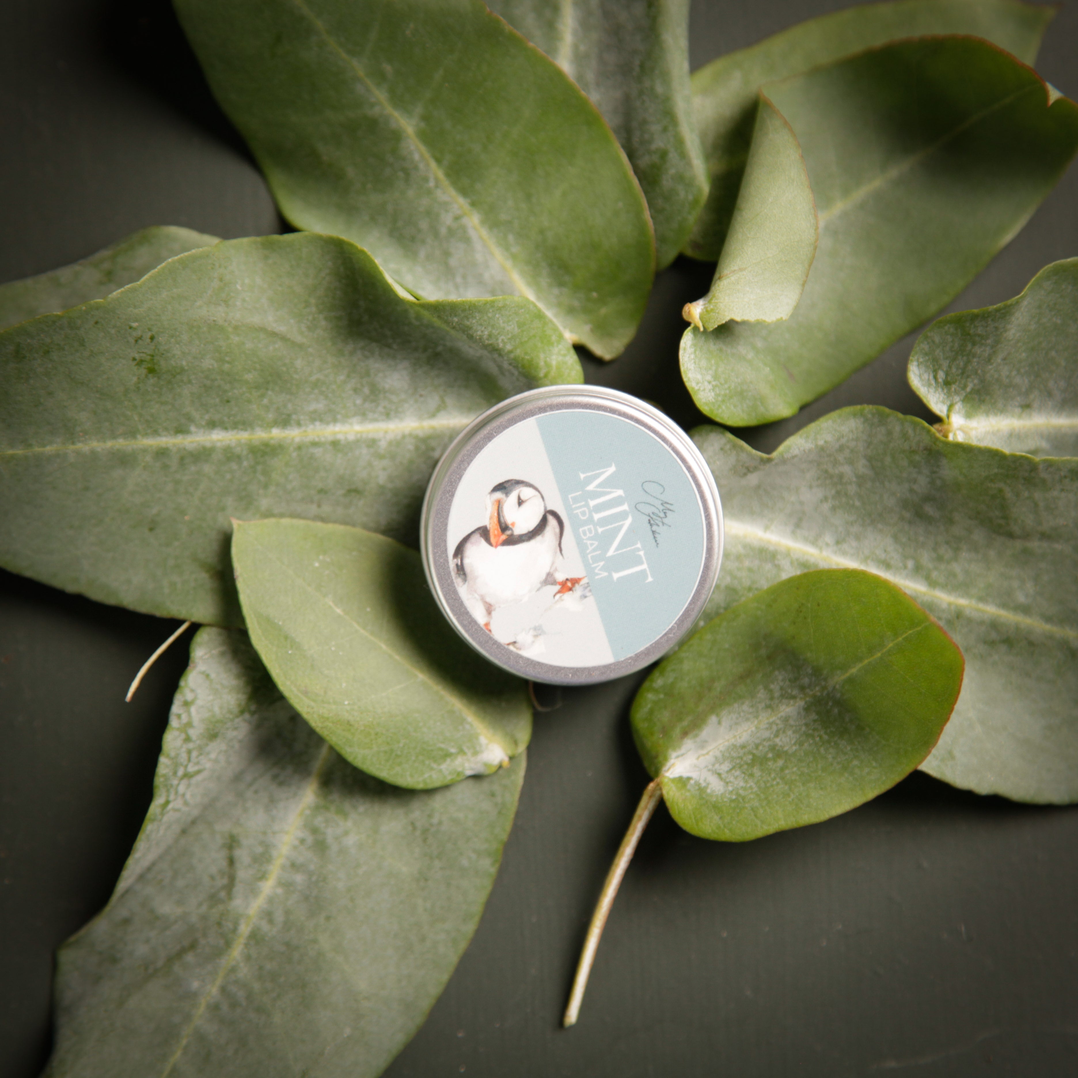 Mint Lipbalm by Meg Hawkins