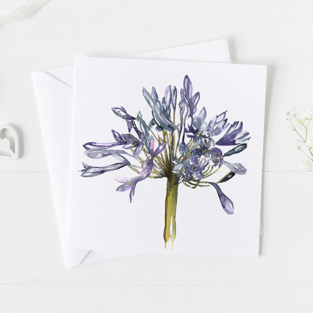 Agapanthus Greeting Card