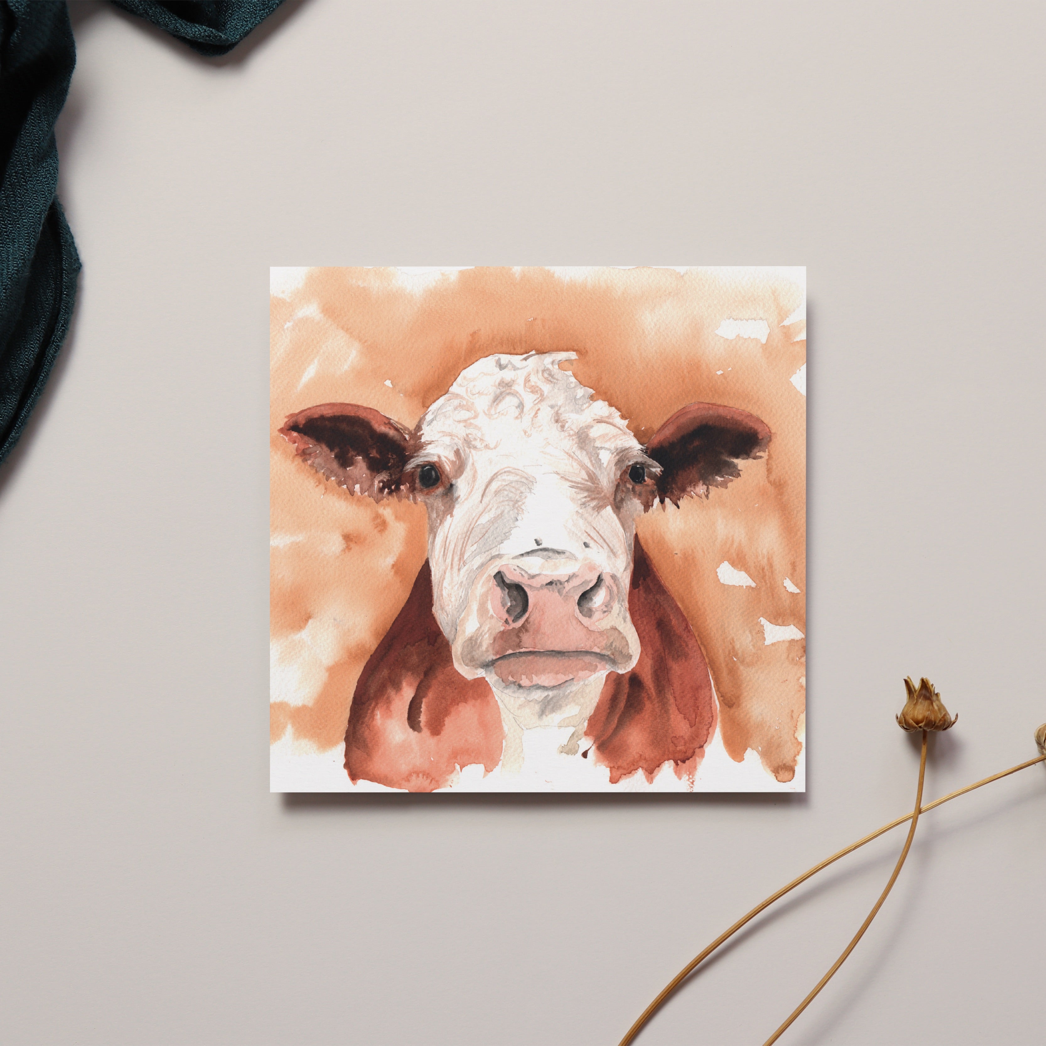 Herefordshire Cow Greeting Card