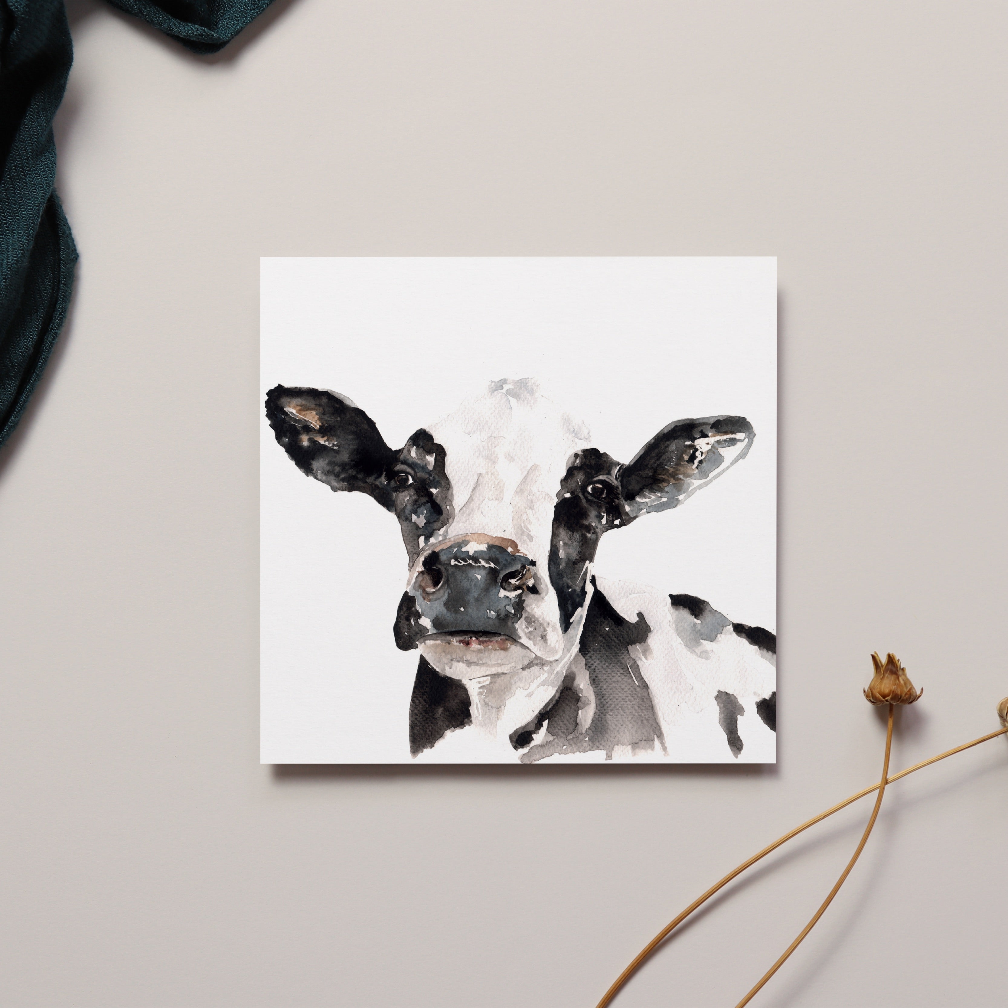Fresian Cow Greeting Card