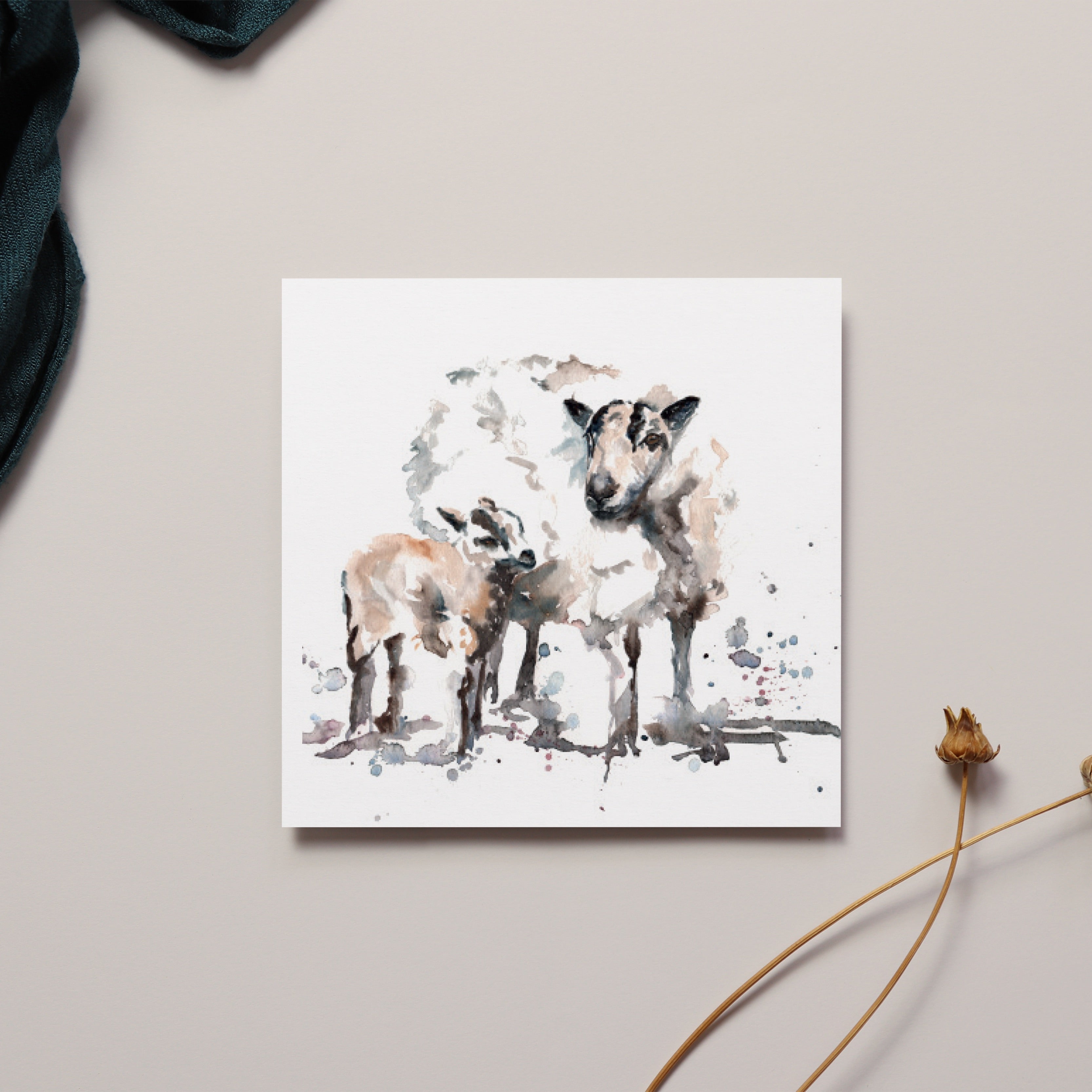 Badger Sheep Greeting Card