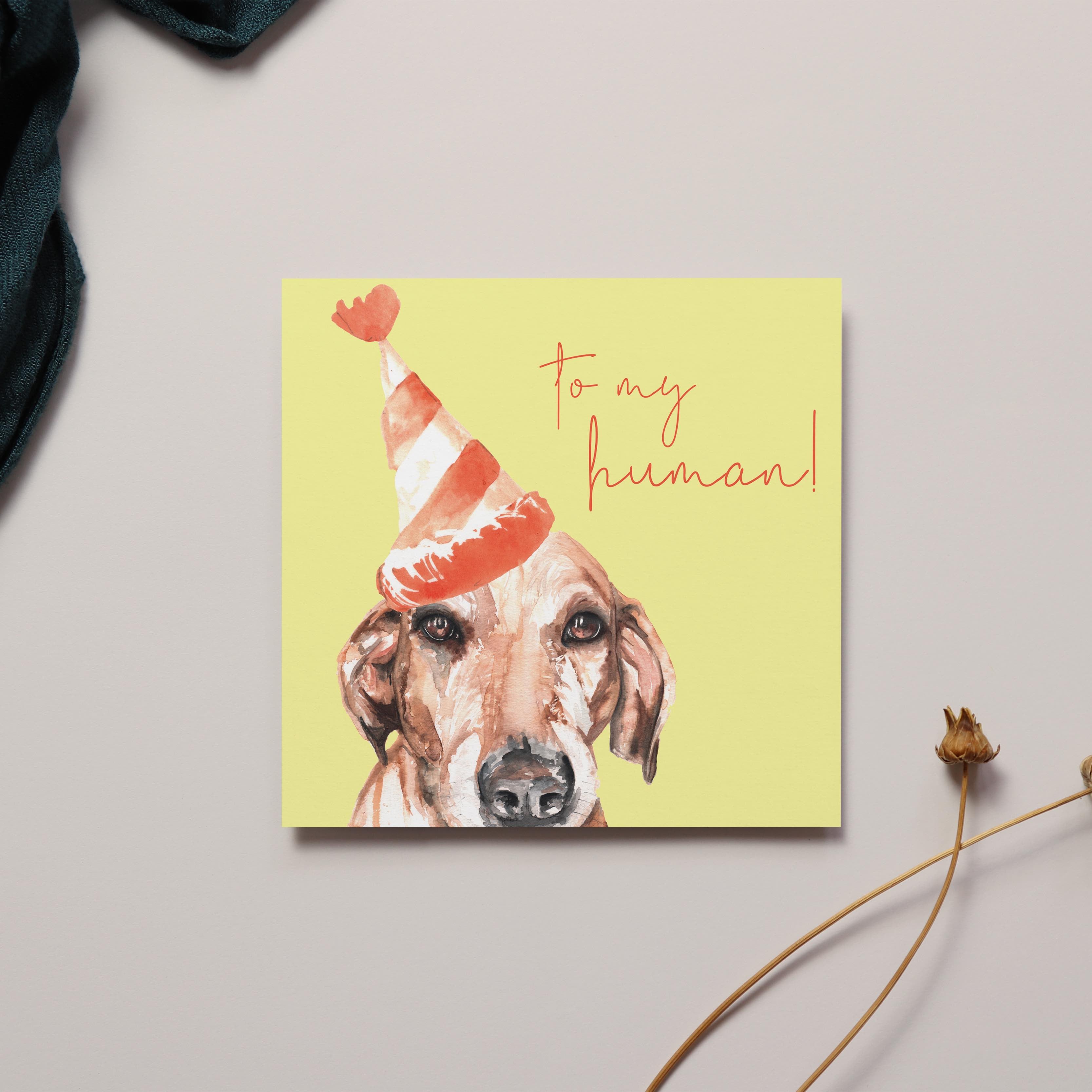 To My Human - Dog Sentiment Card