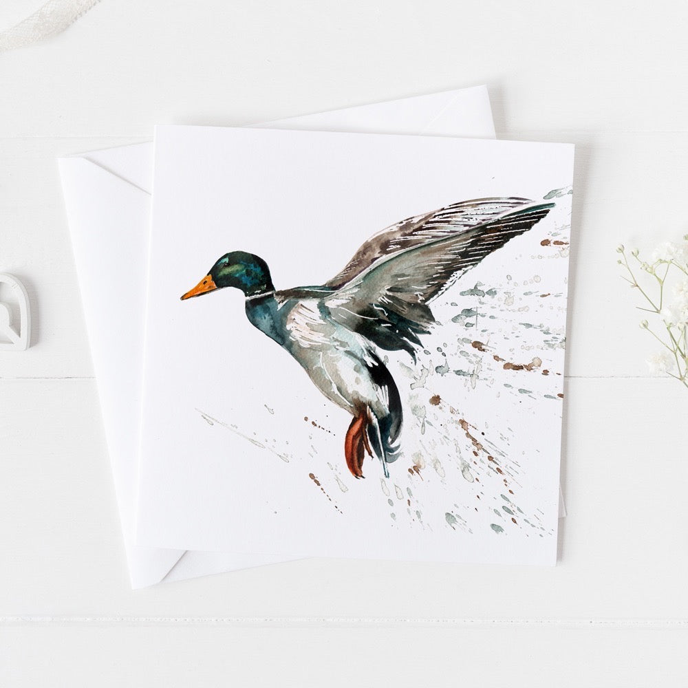 Mallard Watercolour Design Greeting Card