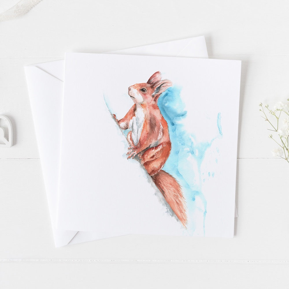 Squirrel Greeting Card