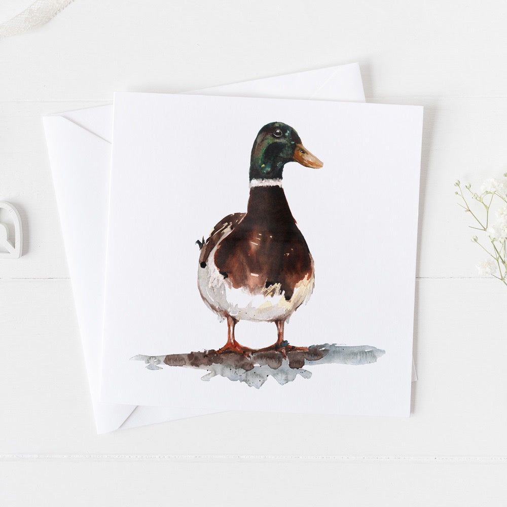 Mallard Watercolour Design Greeting Card