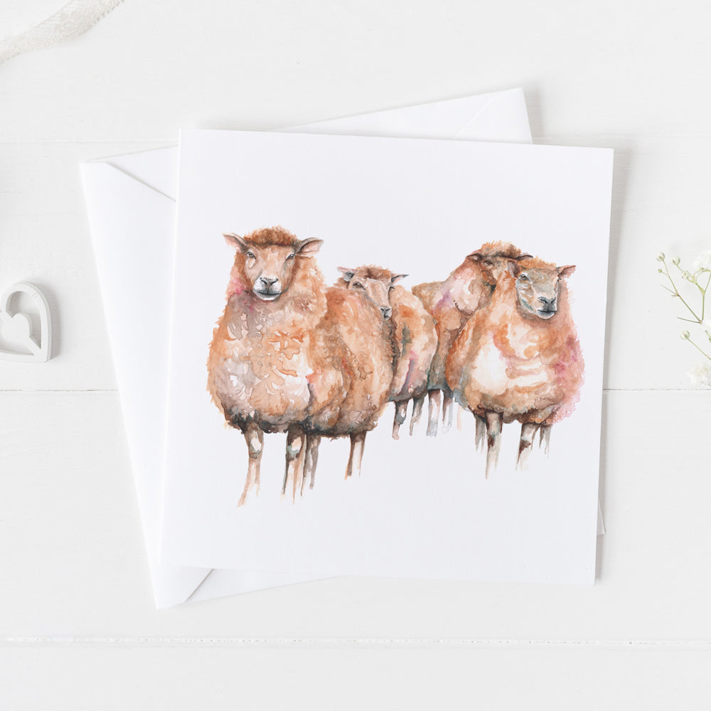 Sheep Herd Card