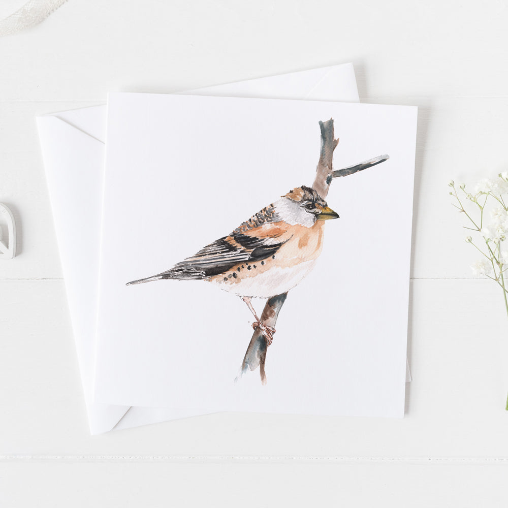 Brambling Card