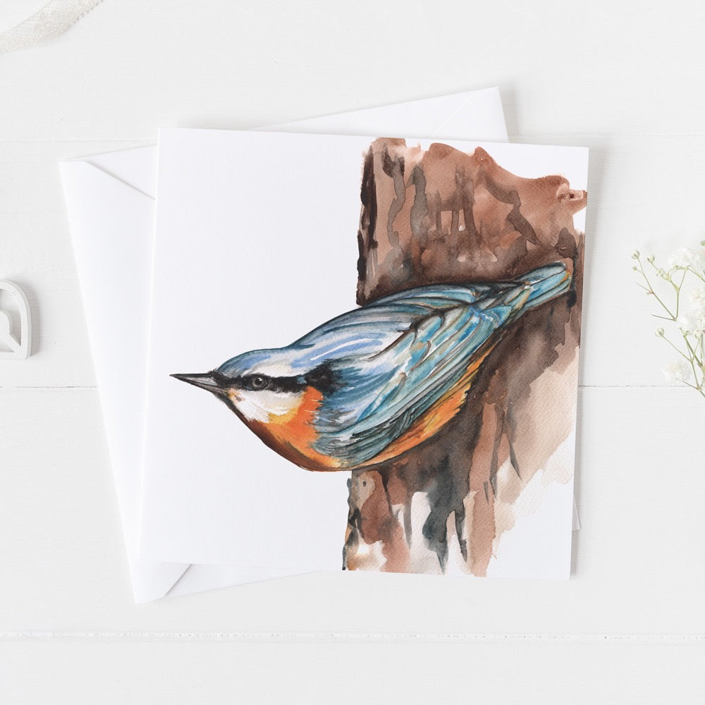 Nut Hatch Card
