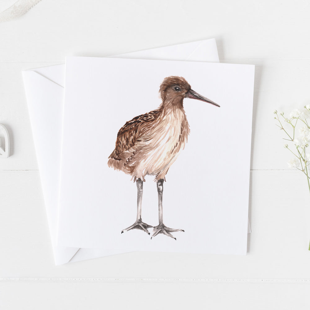 Curlew Card
