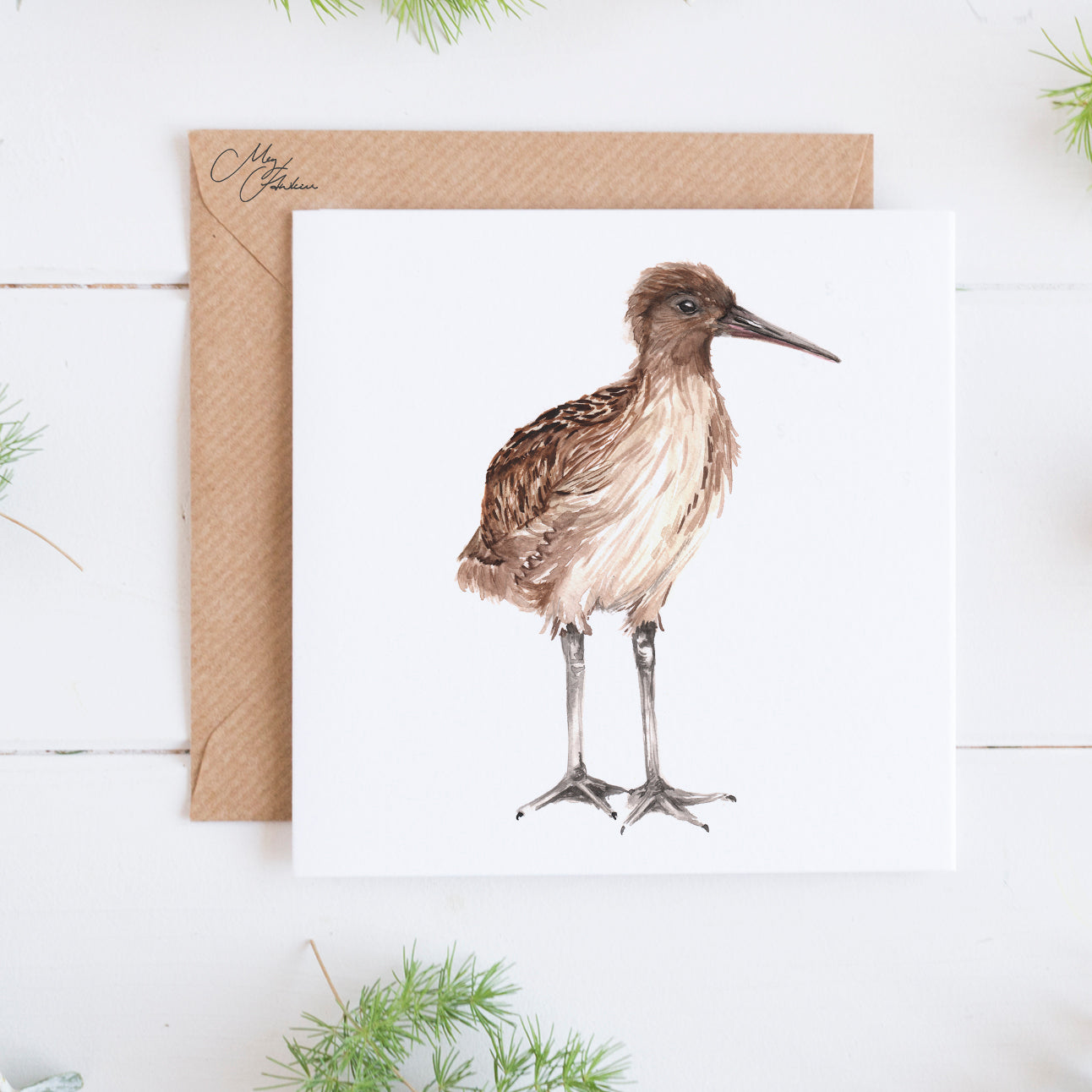 Curlew Greeting Card