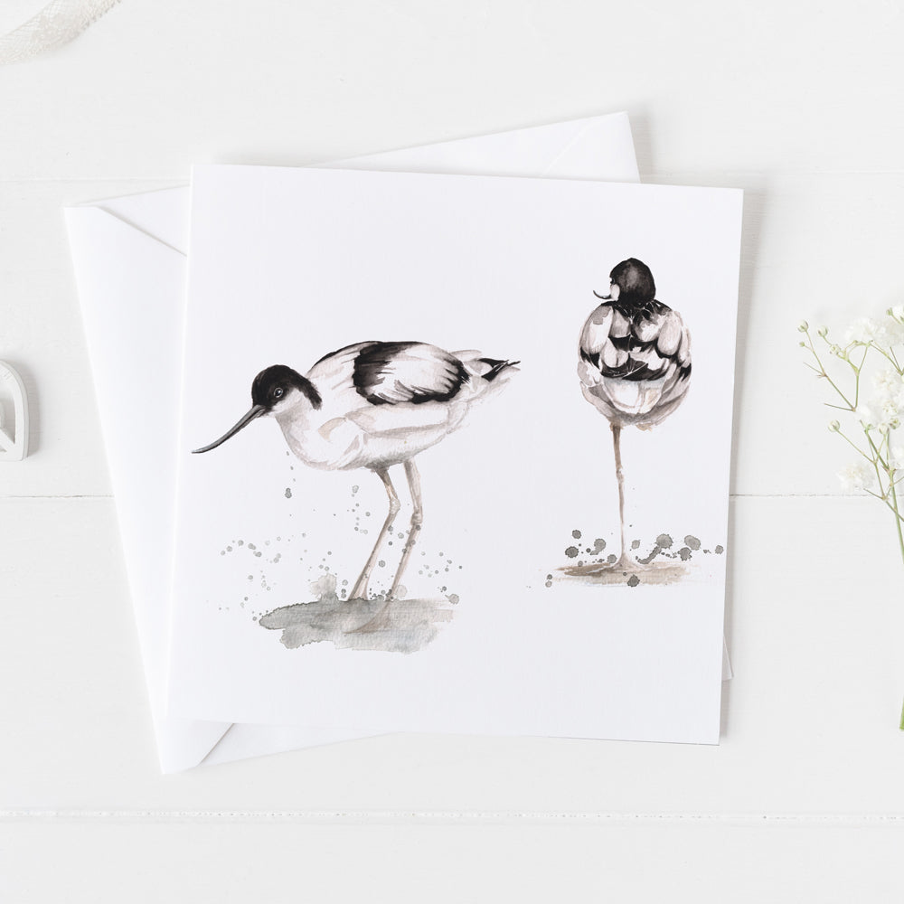 British Avocet Card