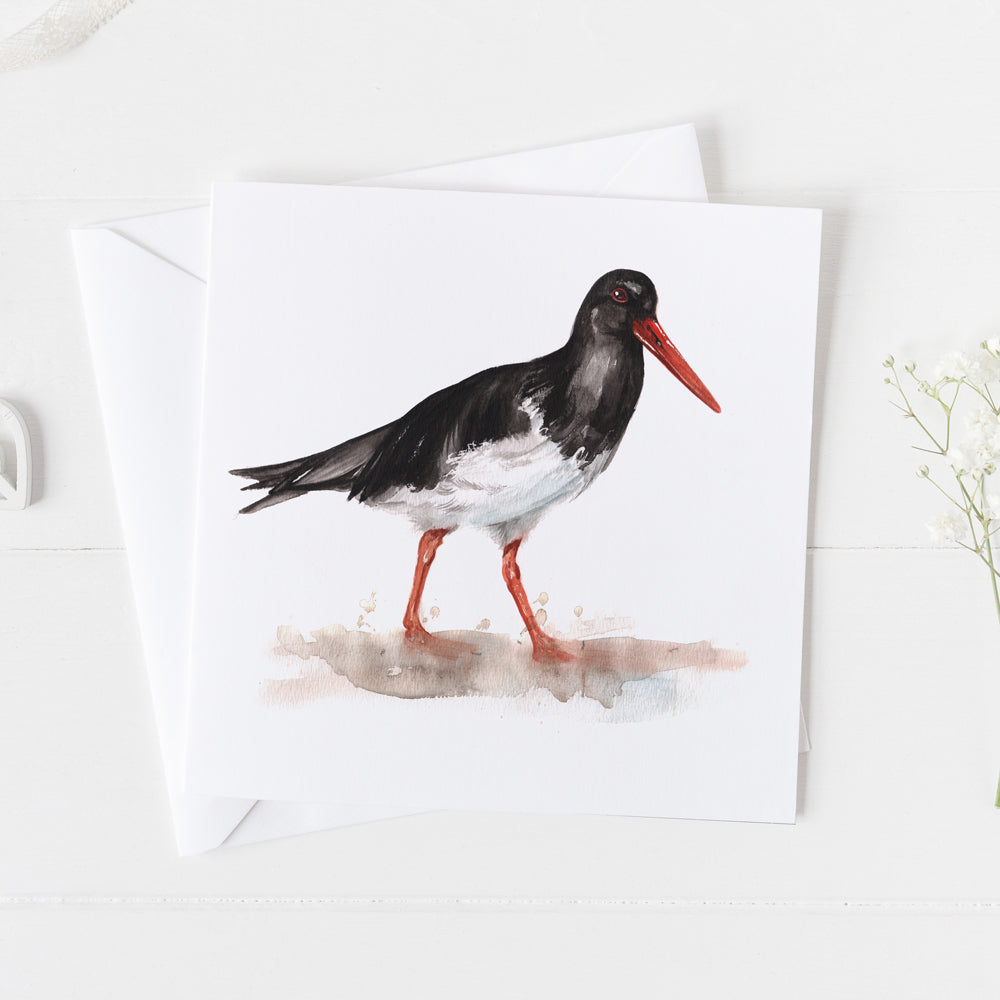 Oyster Catcher Card