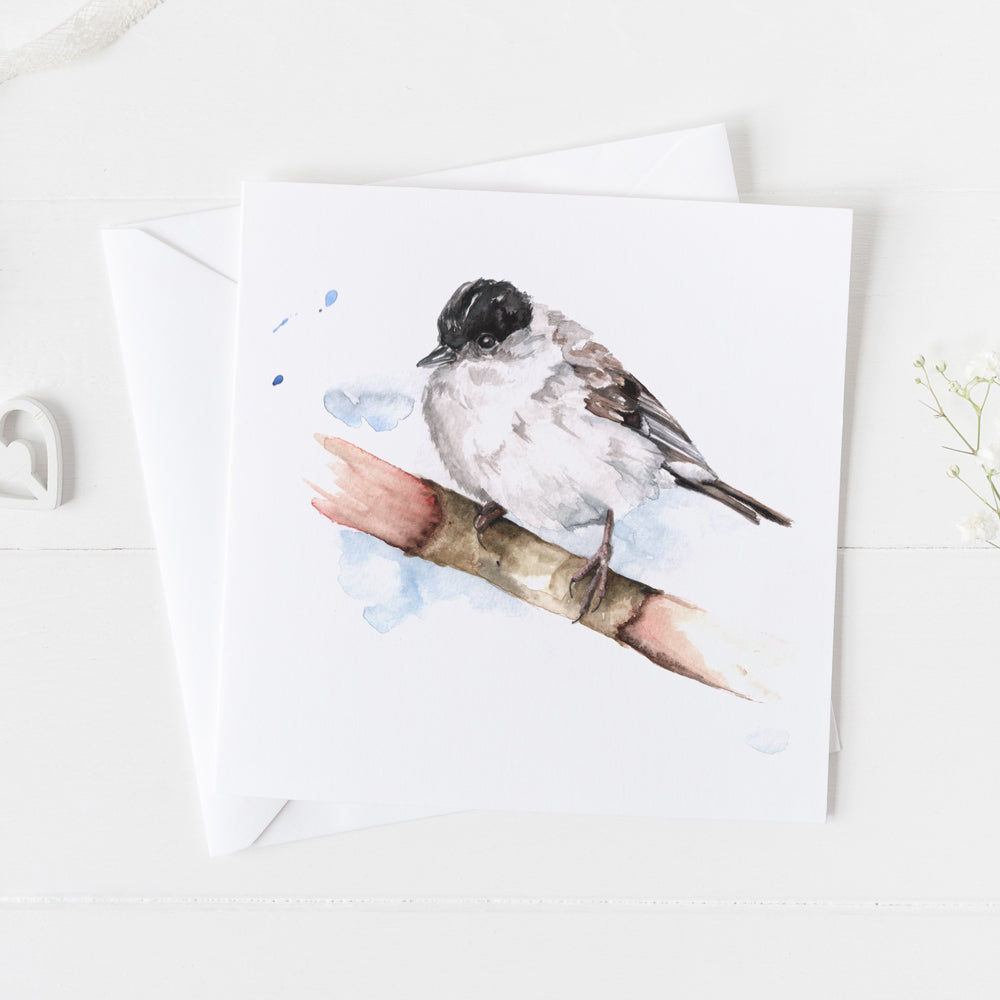 Black Cap Bird Card