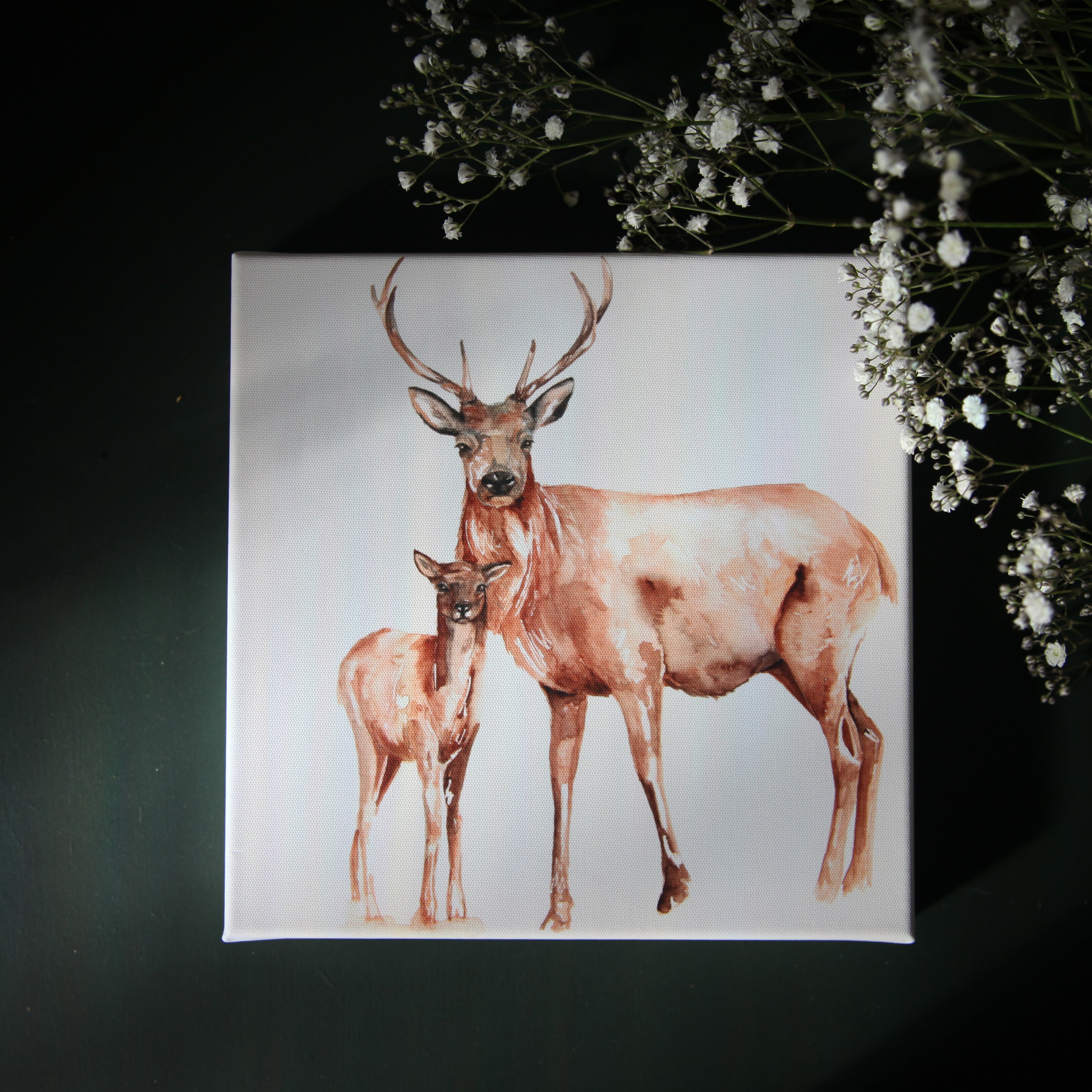 Stag and Doe  Watercolour Canvas