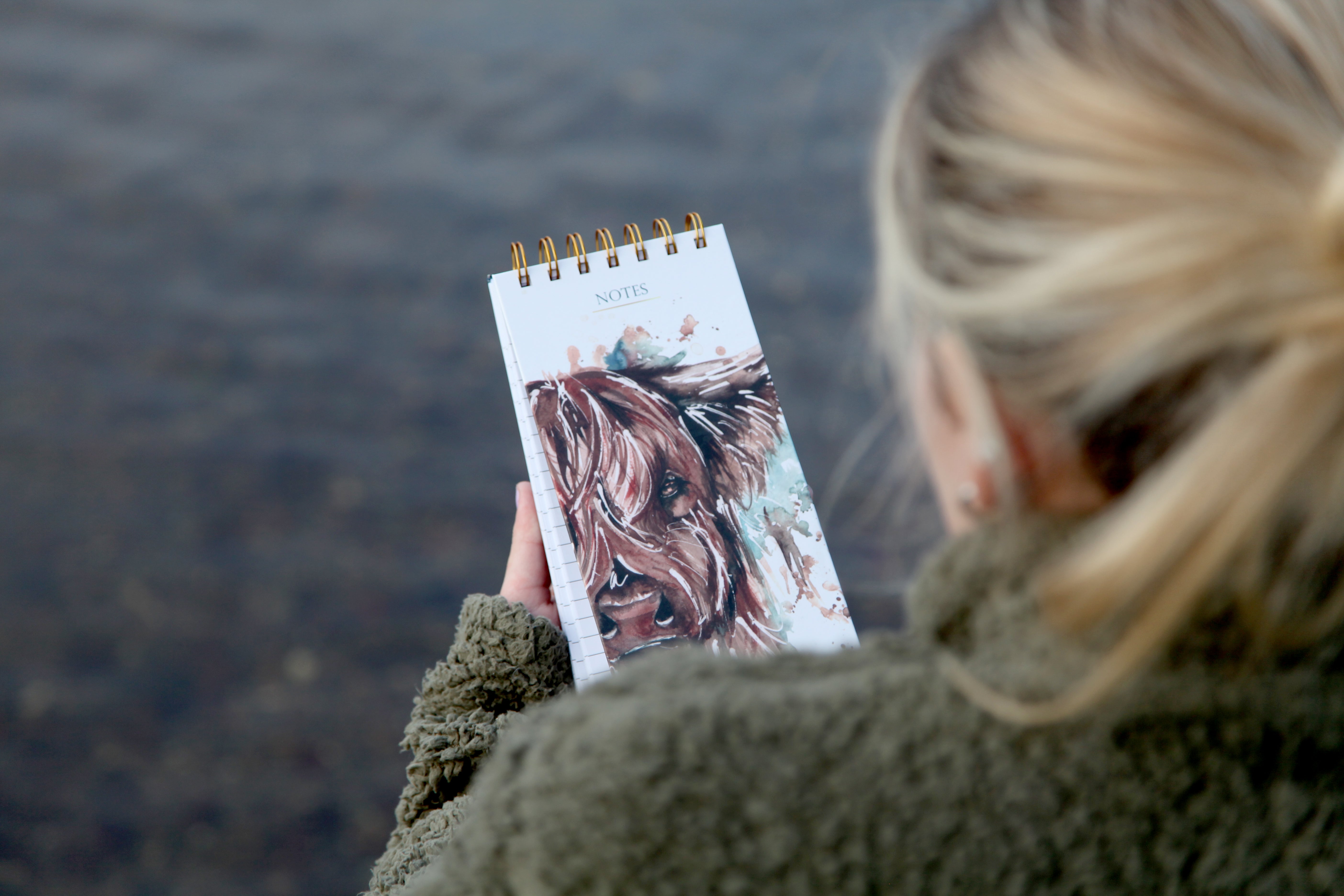 'The Hebrides' Highland Cow Watercolour Design Notepad