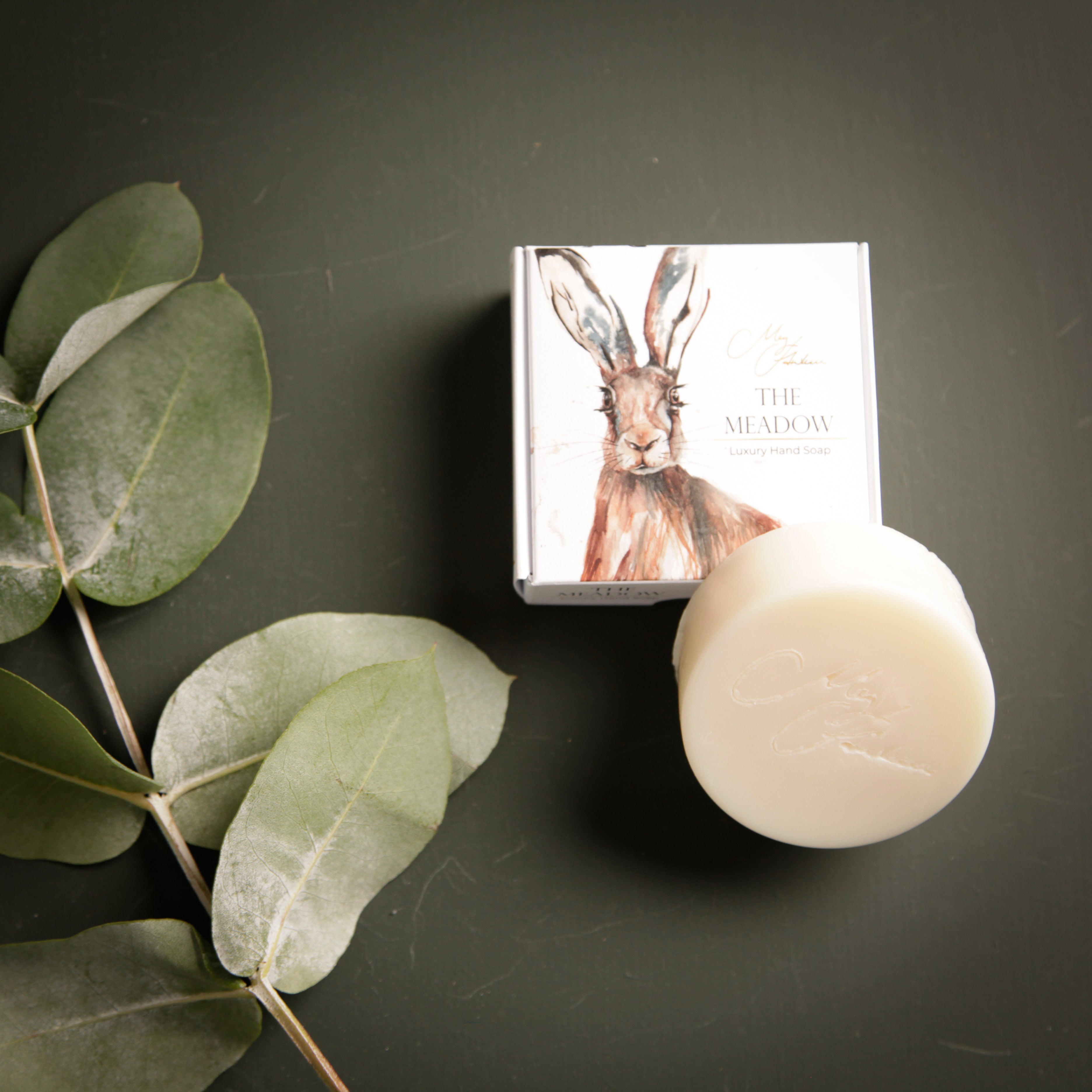 Hare Design Hand Soap By Meg Hawkins