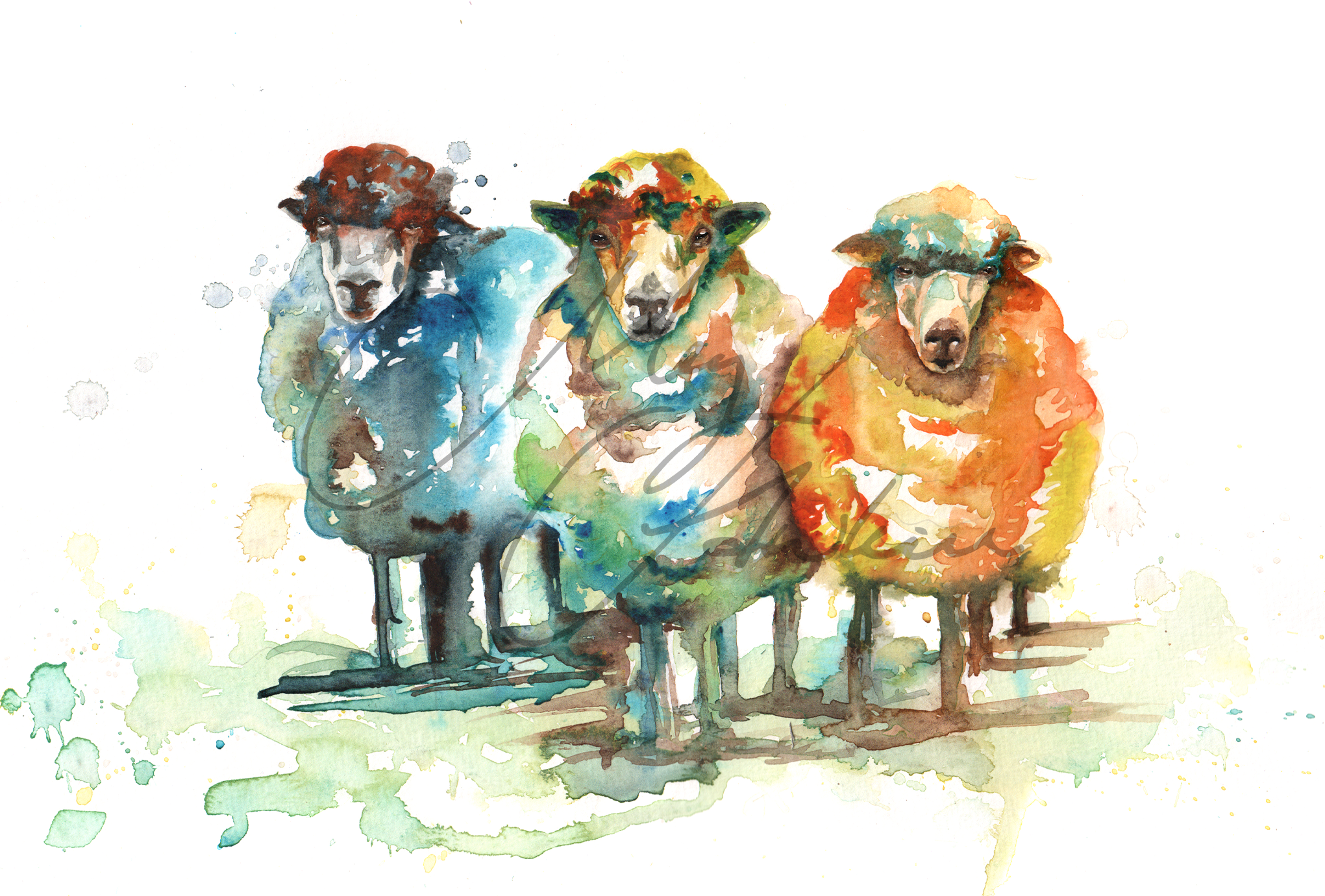Sheep Design Splashback