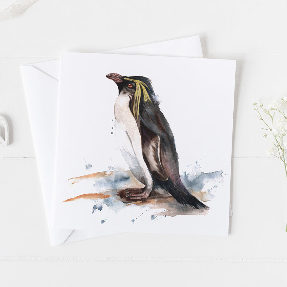 Rockhopper Penguin Card