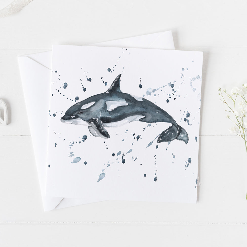 Orca Whale card