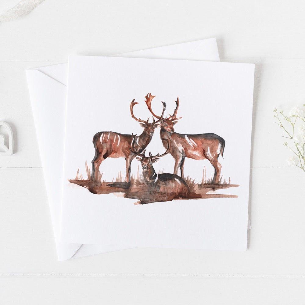 Black Fallow Card