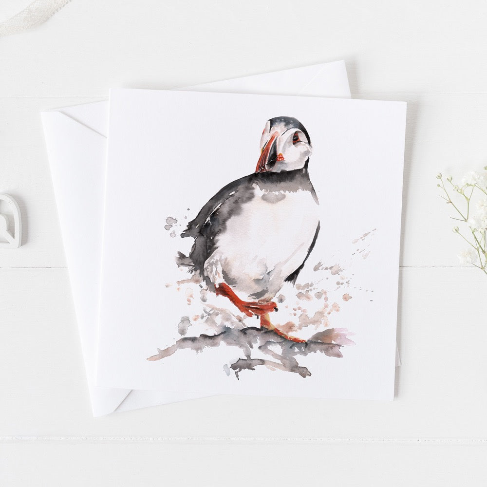 Puffin Card