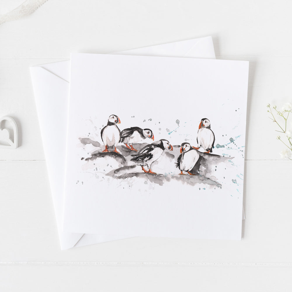 Puffins Card