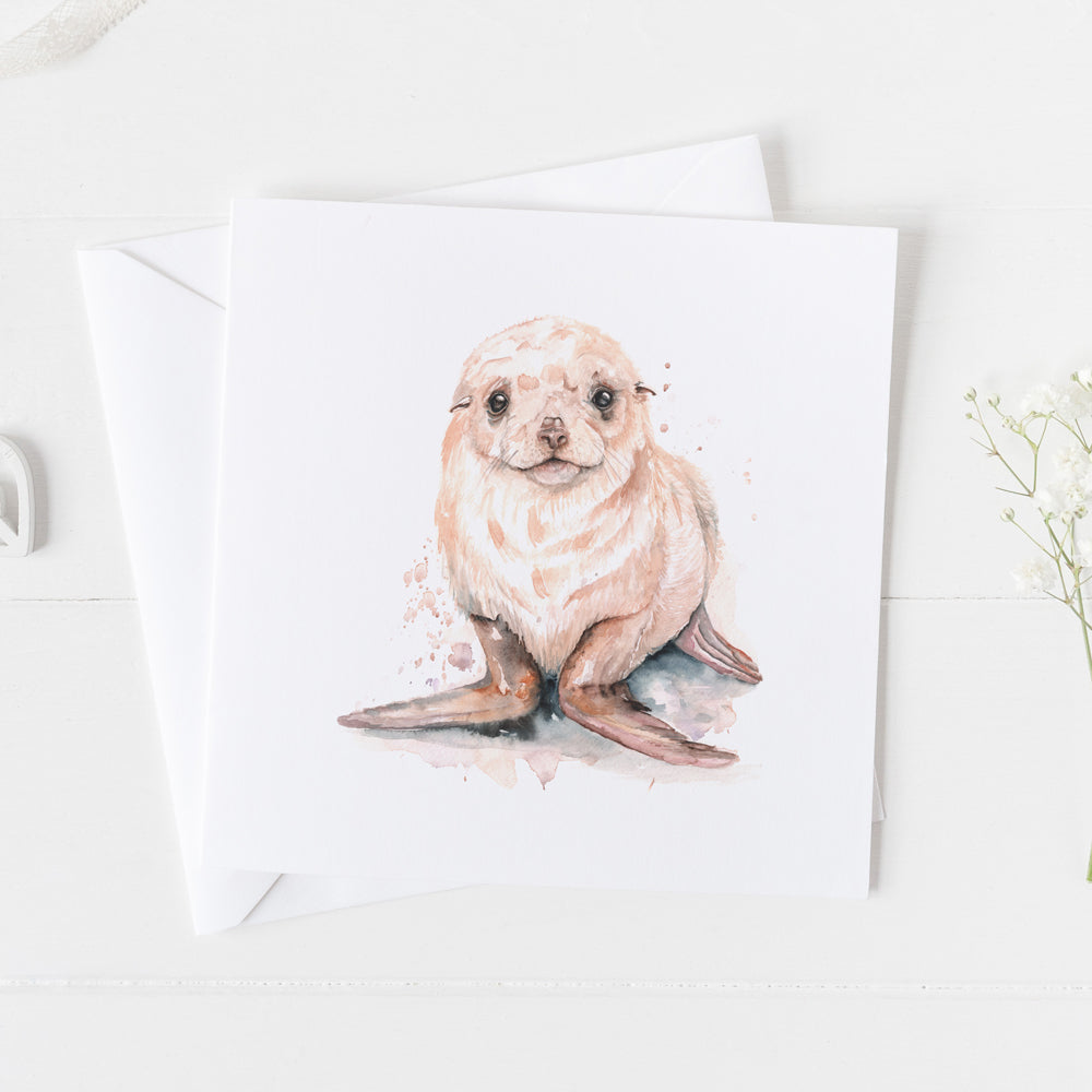 Fur Seal Card