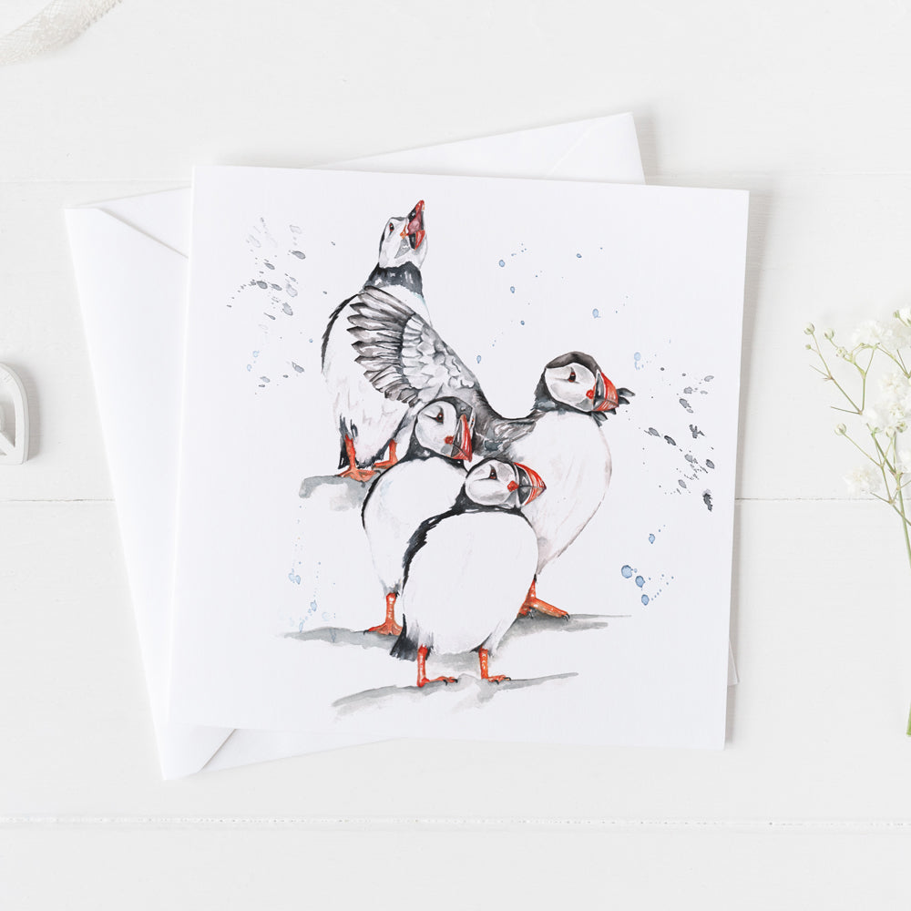 Puffins Card
