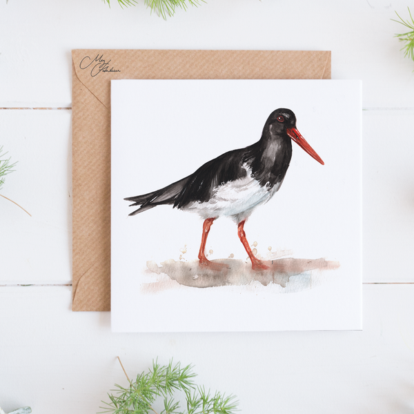 Oyster Catcher Greeting Card