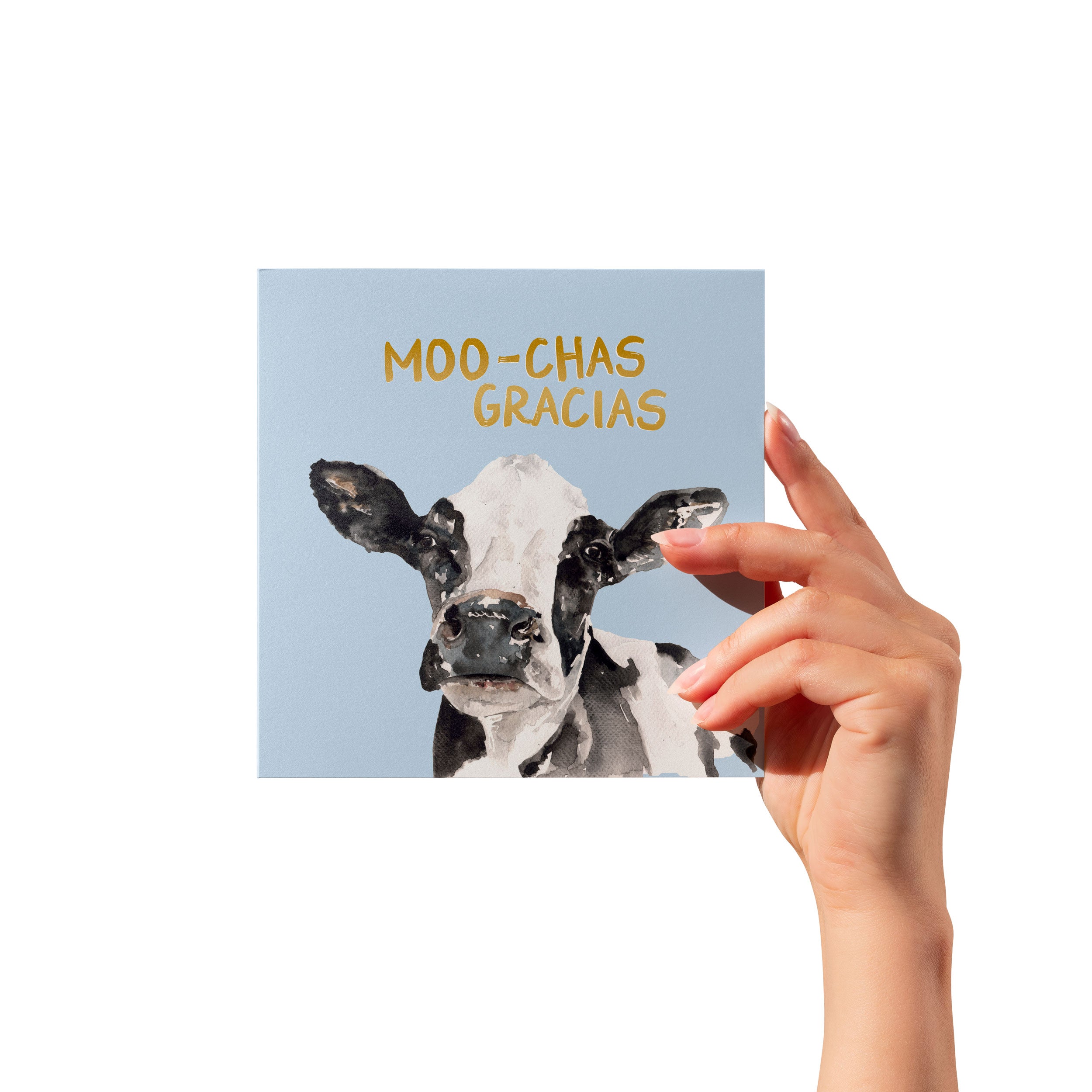 Moo-Chas Gracias Cow Humour Card