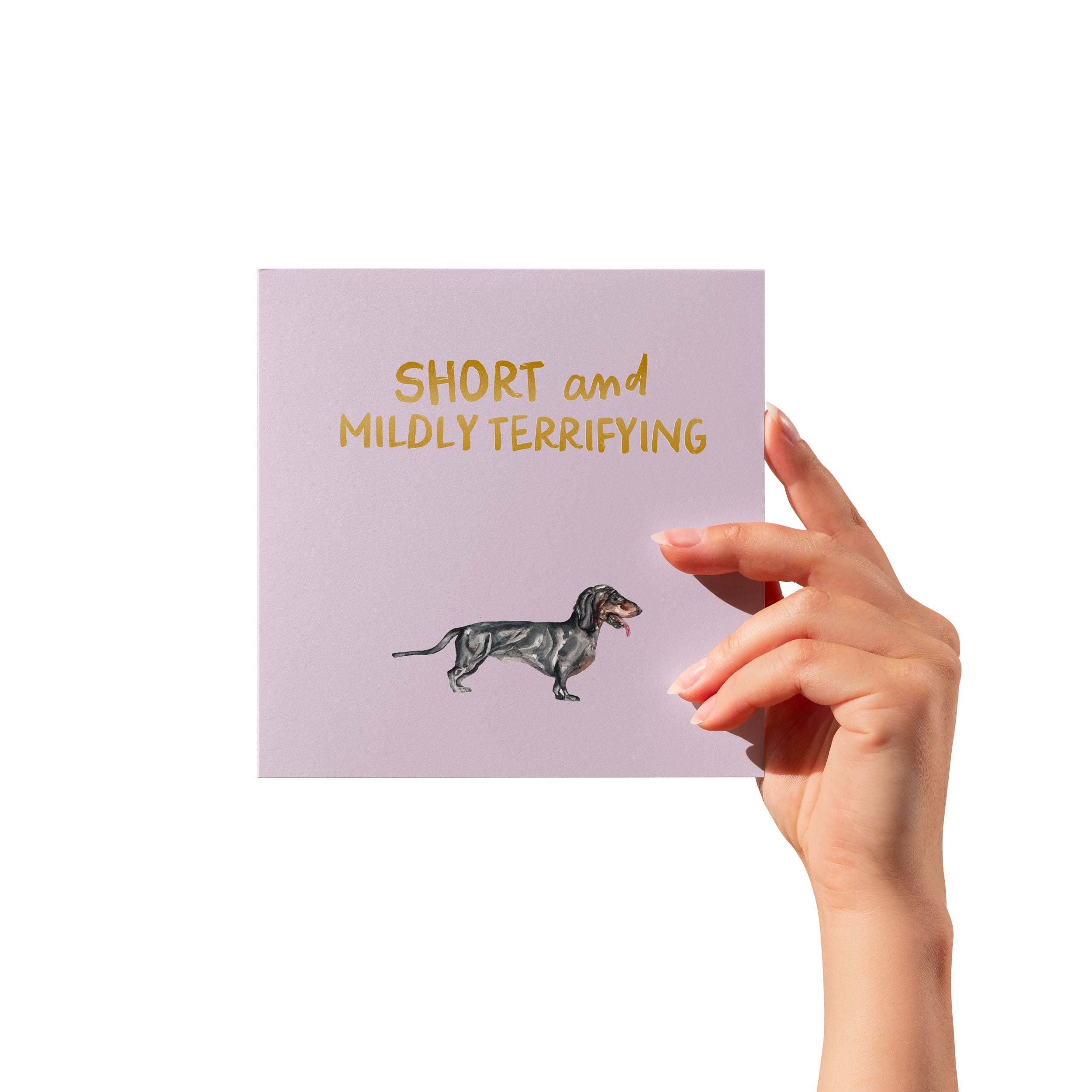 Short and Terrifying Dog Humour Card