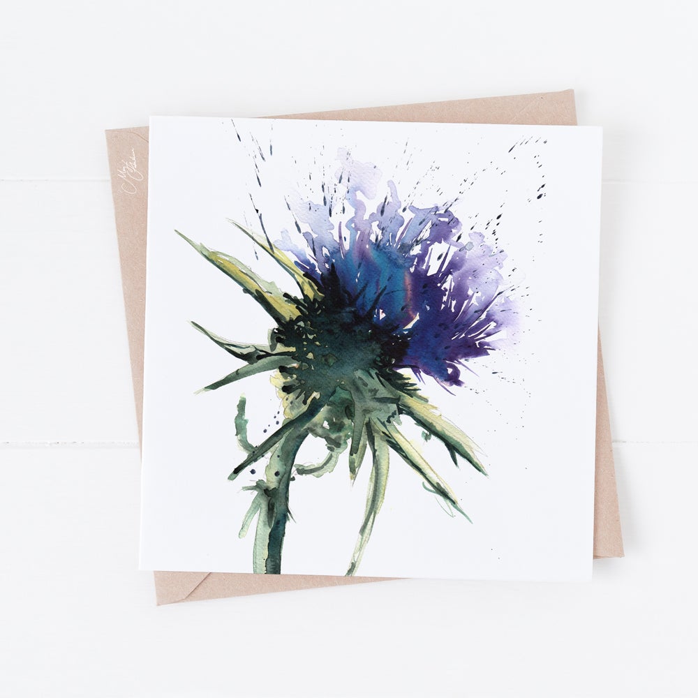 Cotton Thistle Water colour Greeting Card By Meg Hawkins, The Thistle Symbol in Scotland and the celtic Regions devotion, Bravery, Determination and Strength