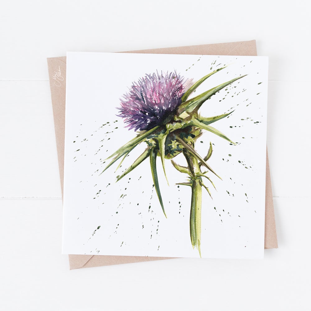 Cotton Thistle Water colour Greeting Card By Meg Hawkins, The Thistle Symbol in Scotland and the celtic Regions devotion, Bravery, Determination and Strength