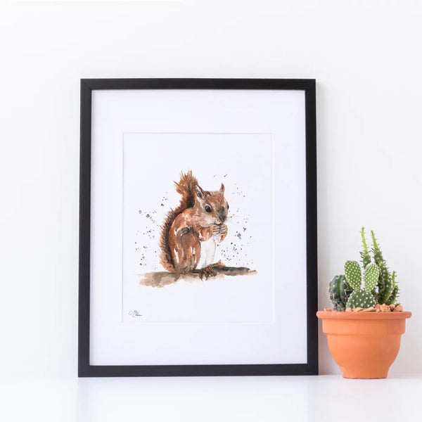 Red Squirrel Watercolour Print