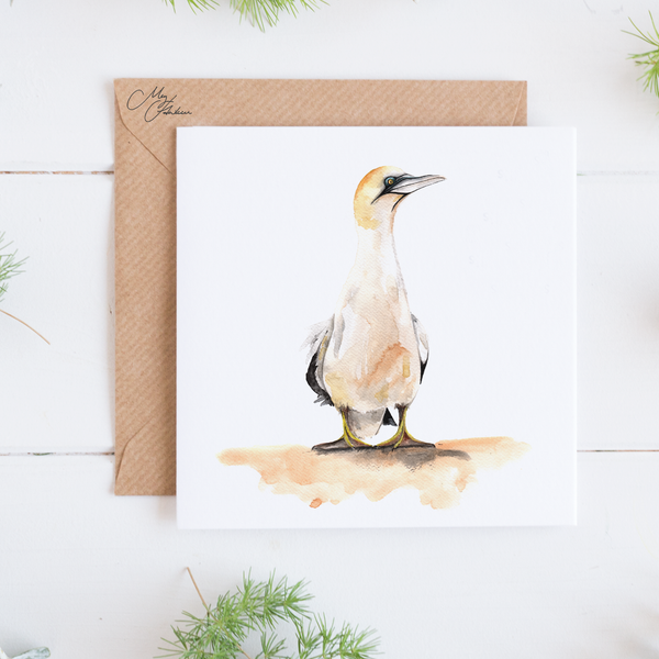 Gannet Greeting Card